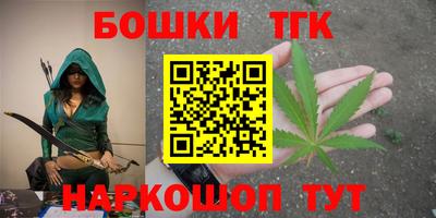 МДПВ Ефремов