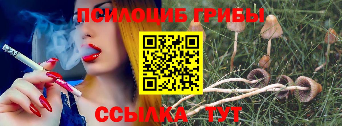 Ейск  Псилоцибиновые грибы ЛСД  Вход с VPN  Псилоцибиновые грибы мицелий 